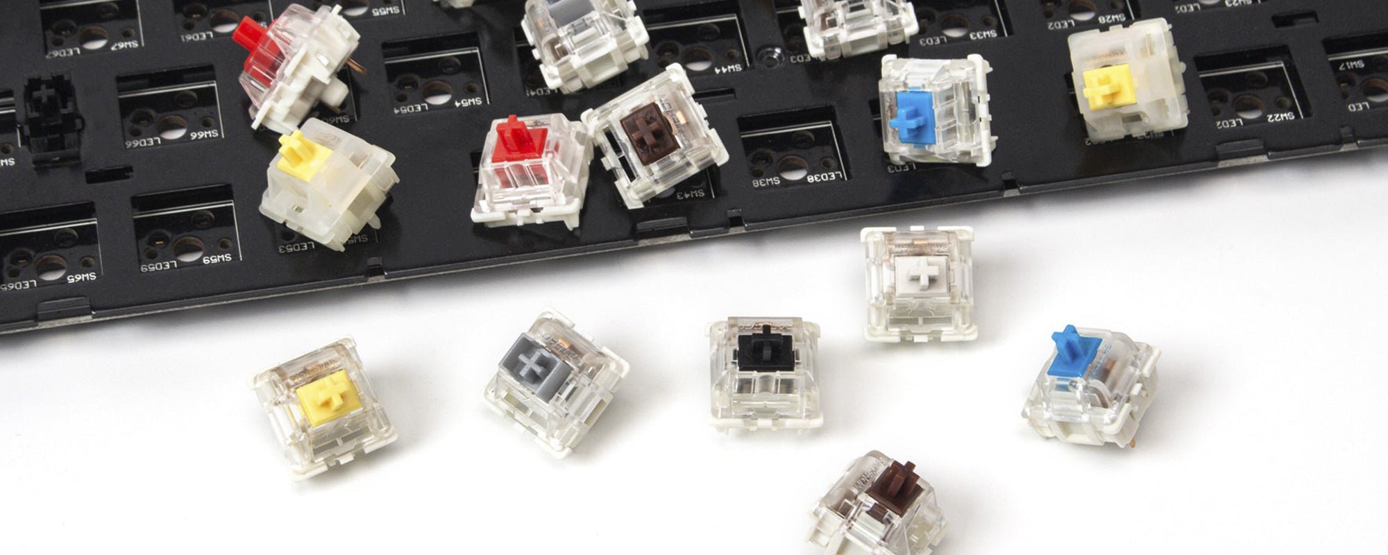 Gateron Switches - InputGear DE