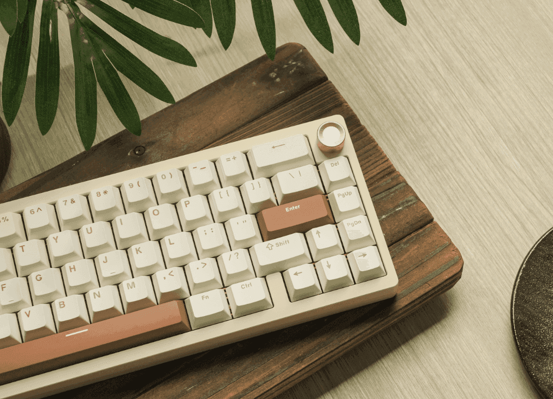 Womier SK65 Keyboard