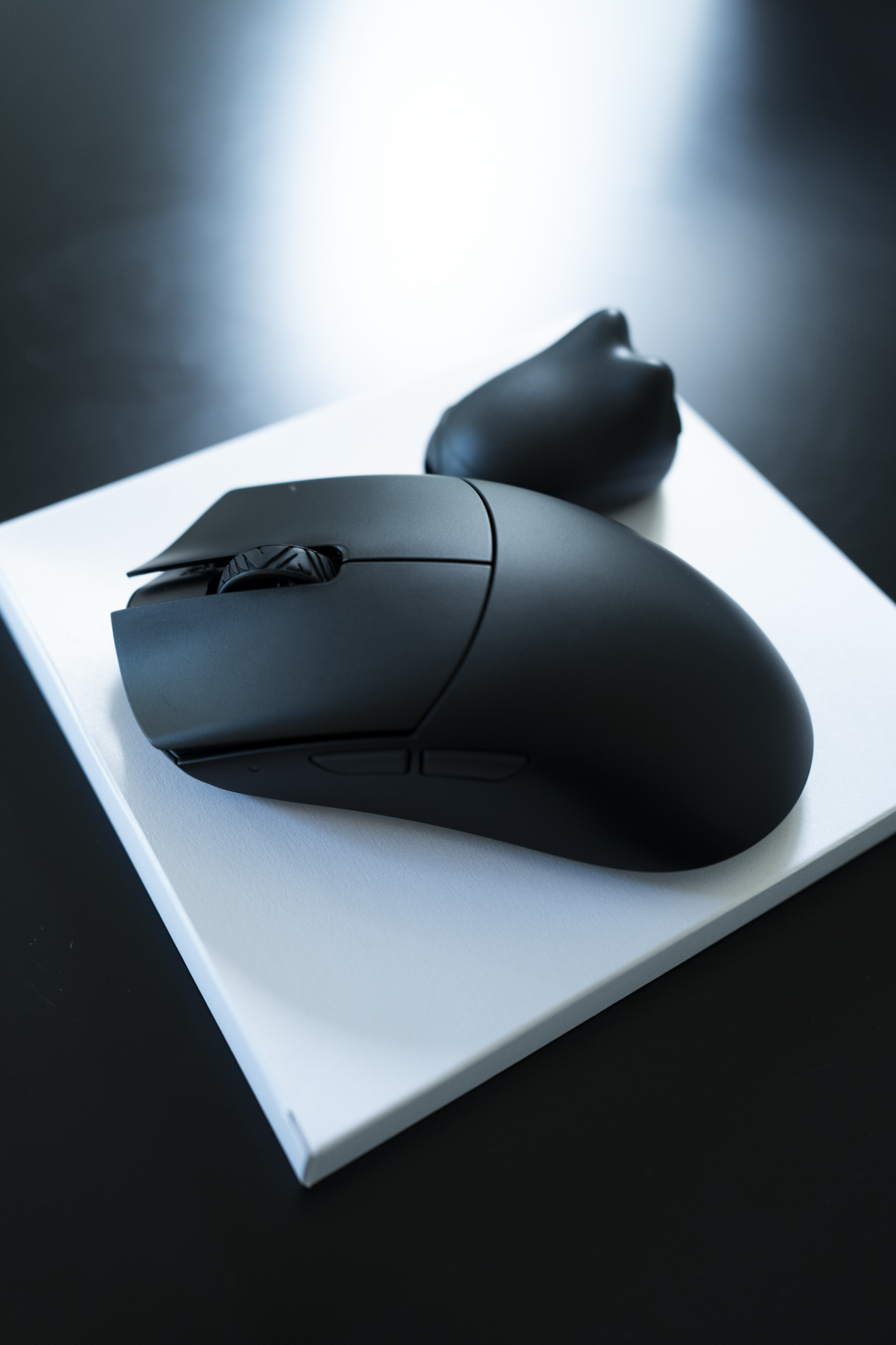 L1050313.png
