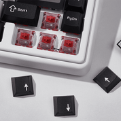 Chilkey ND65 CS HE - InputGear DE