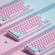 D60Lite x ePBT Acid House and Sweet Girl Keyboard Kit - InputGear DE