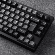 Lemokey P1 Pro Fully Assembled (ISO-DE) - InputGear DE